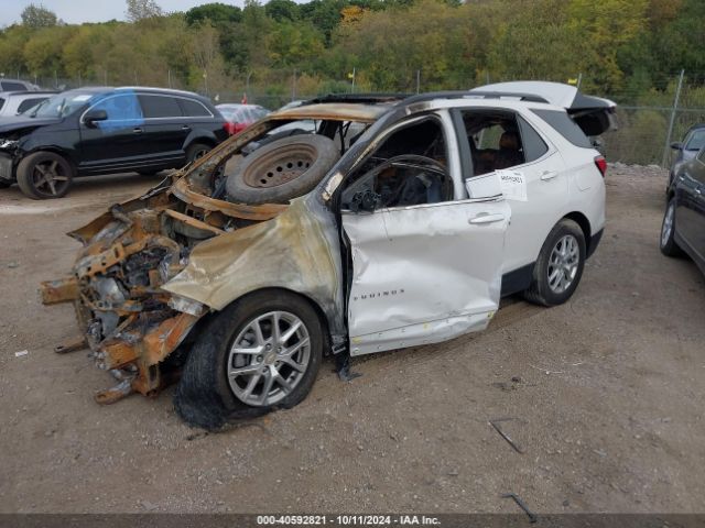 Photo 1 VIN: 3GNAXKEGXRL102690 - CHEVROLET EQUINOX 