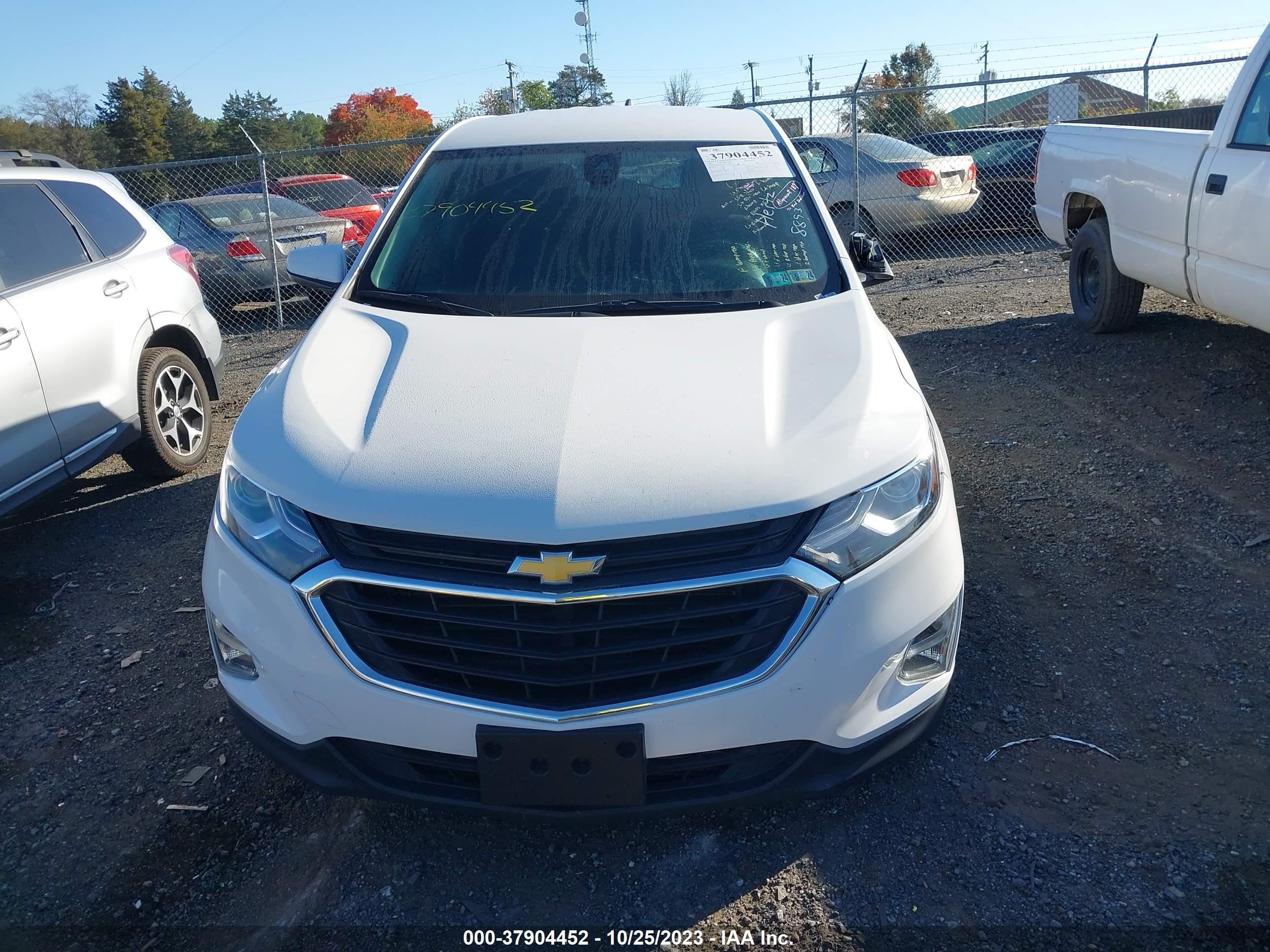 Photo 11 VIN: 3GNAXKEV0MS144847 - CHEVROLET EQUINOX 