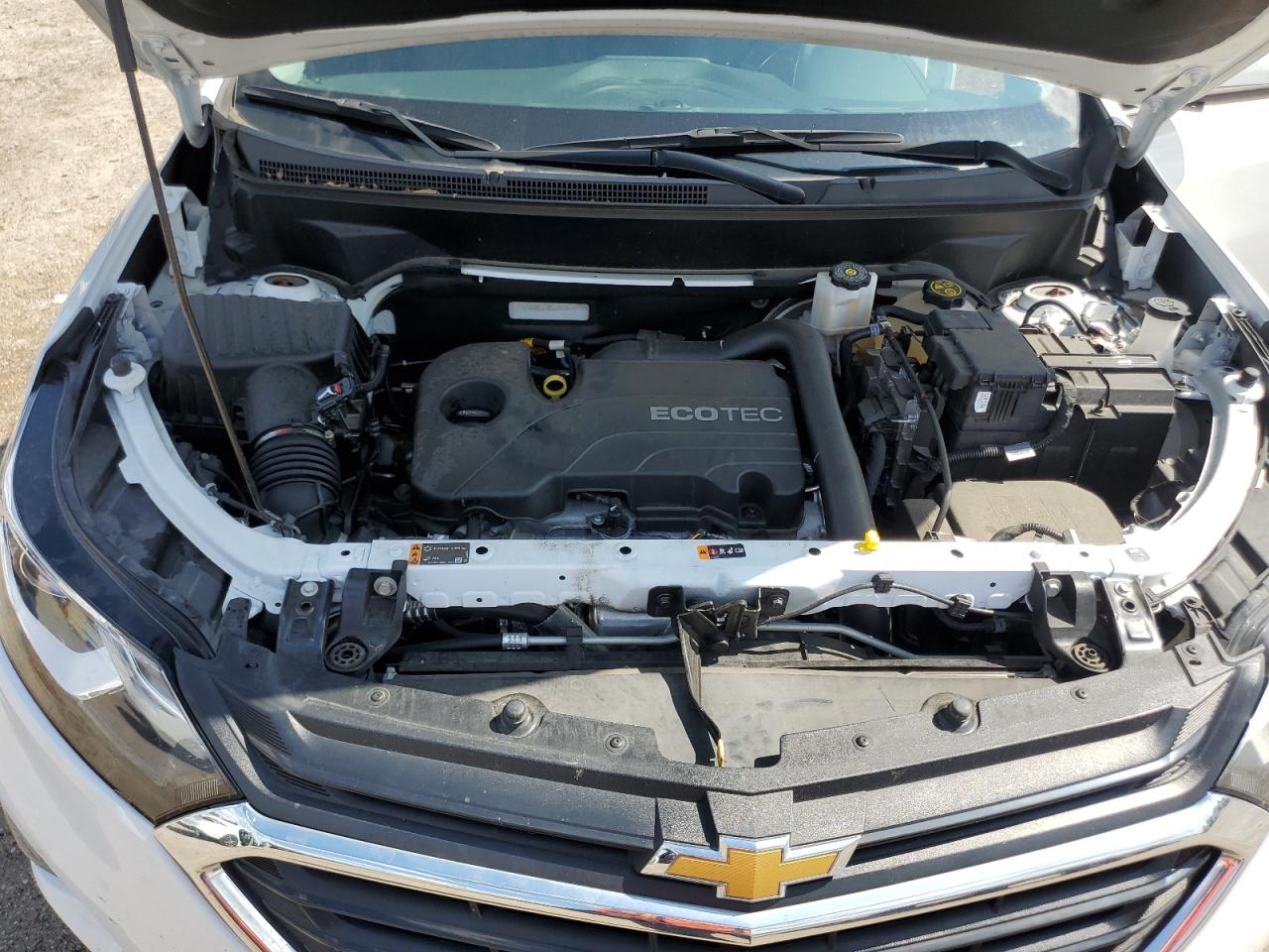 Photo 11 VIN: 3GNAXKEV3MS170052 - CHEVROLET EQUINOX 