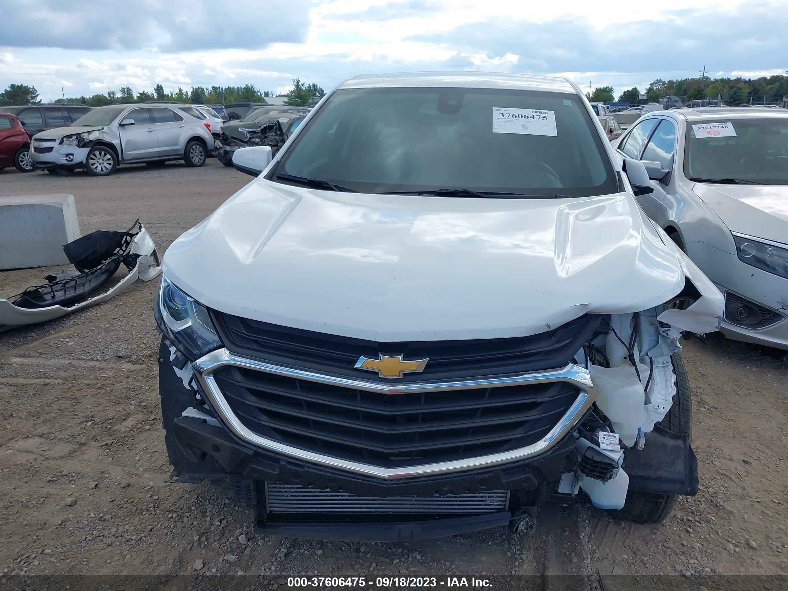 Photo 12 VIN: 3GNAXKEV8MS166742 - CHEVROLET EQUINOX 