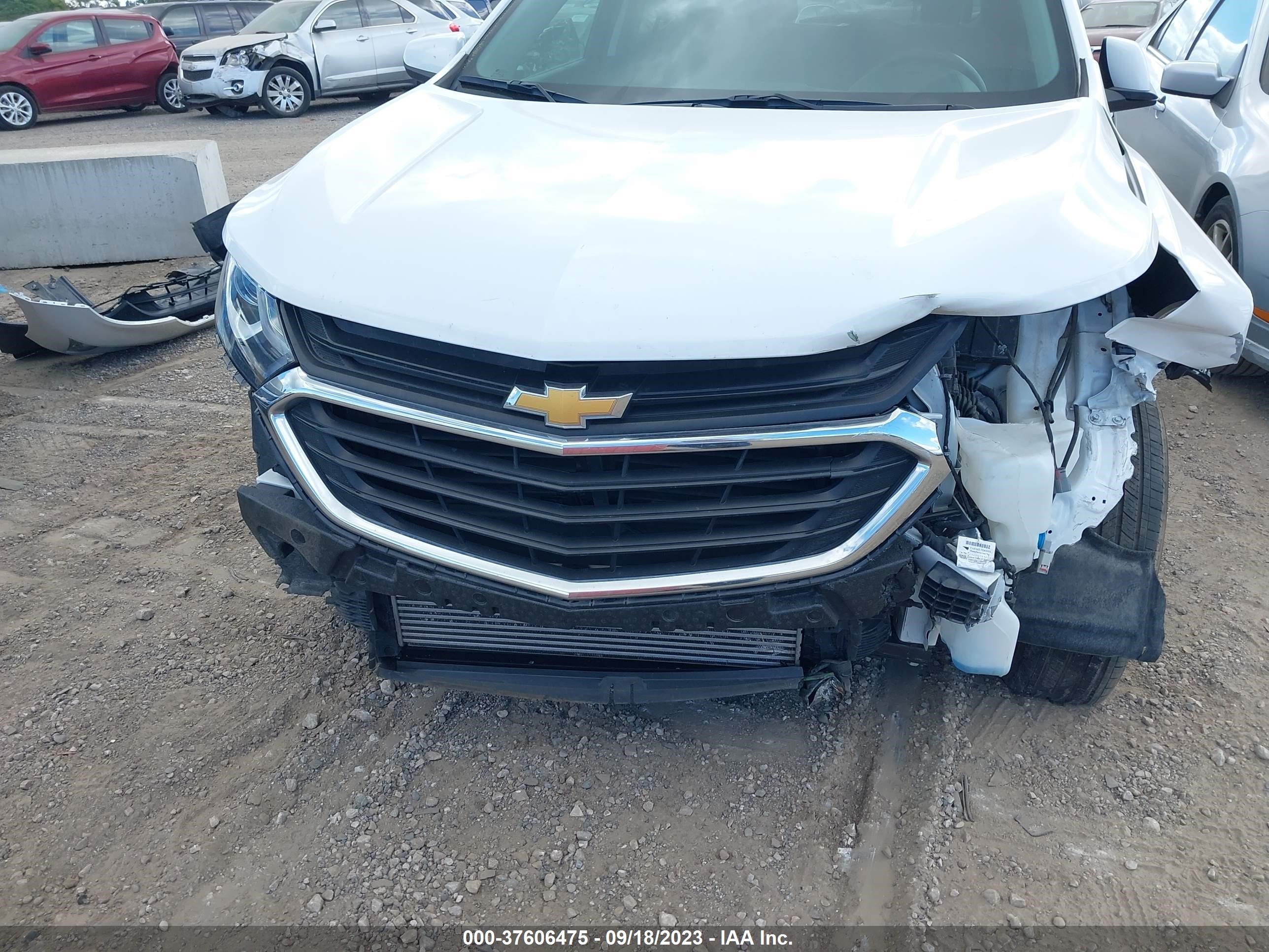 Photo 5 VIN: 3GNAXKEV8MS166742 - CHEVROLET EQUINOX 