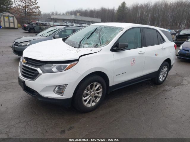 Photo 1 VIN: 3GNAXSEV1MS162404 - CHEVROLET EQUINOX 