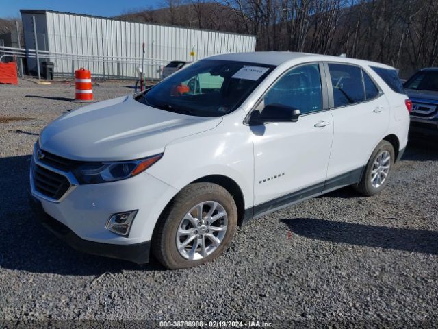 Photo 1 VIN: 3GNAXSEV1MS165013 - CHEVROLET EQUINOX 