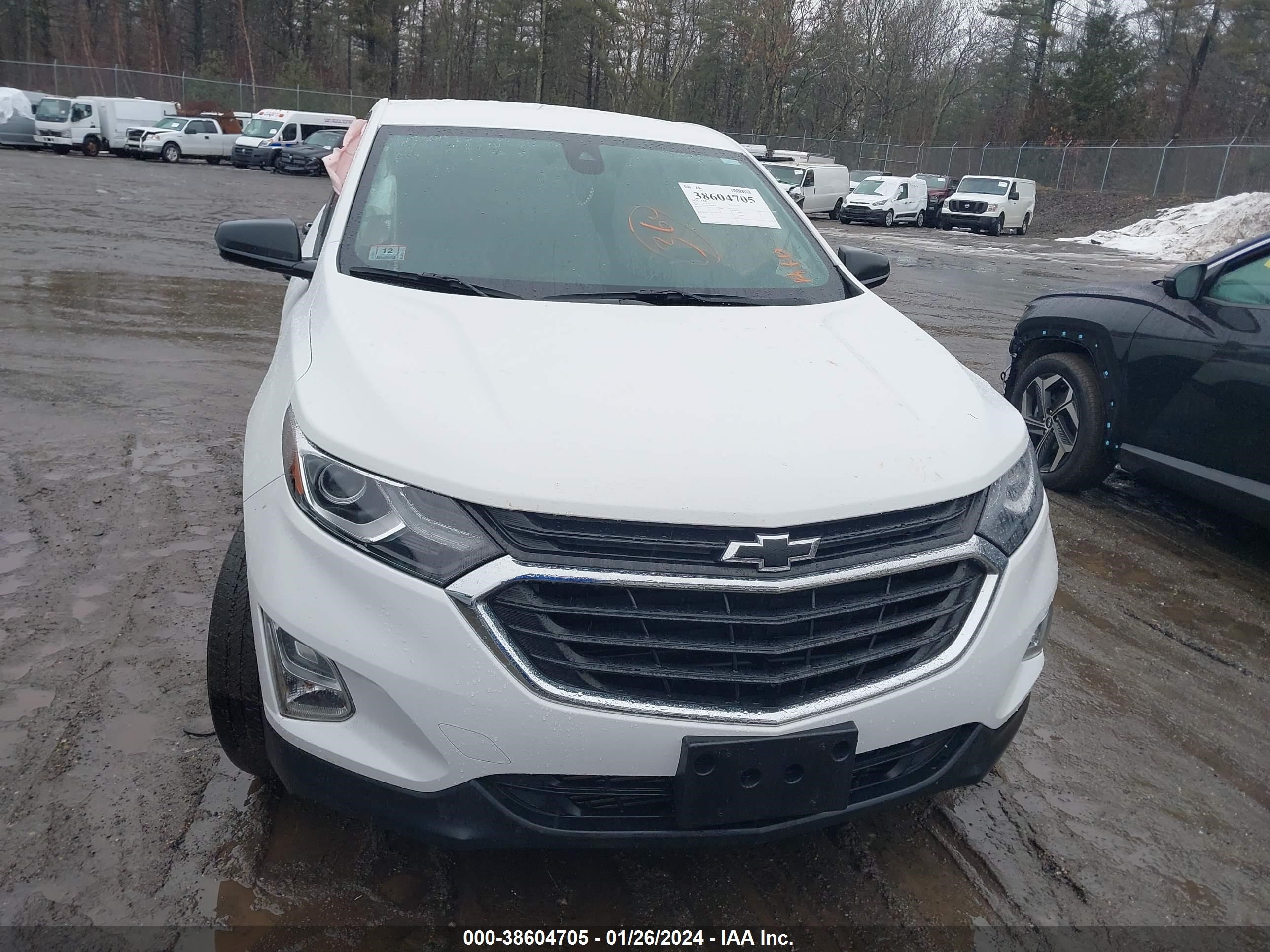 Photo 11 VIN: 3GNAXSEV7MS169454 - CHEVROLET EQUINOX 