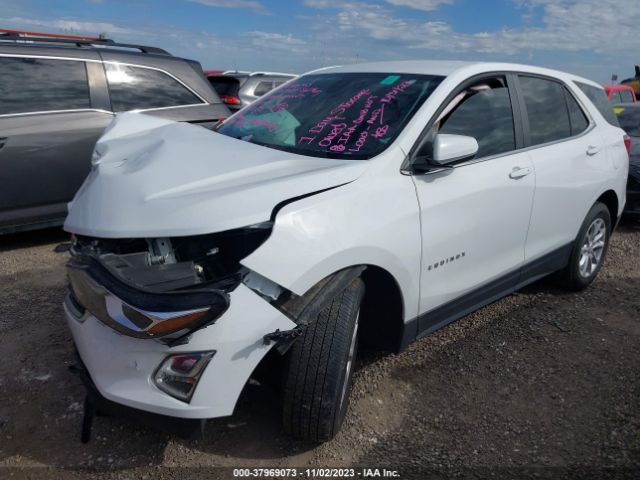 Photo 1 VIN: 3GNAXTEV1MS148668 - CHEVROLET EQUINOX 