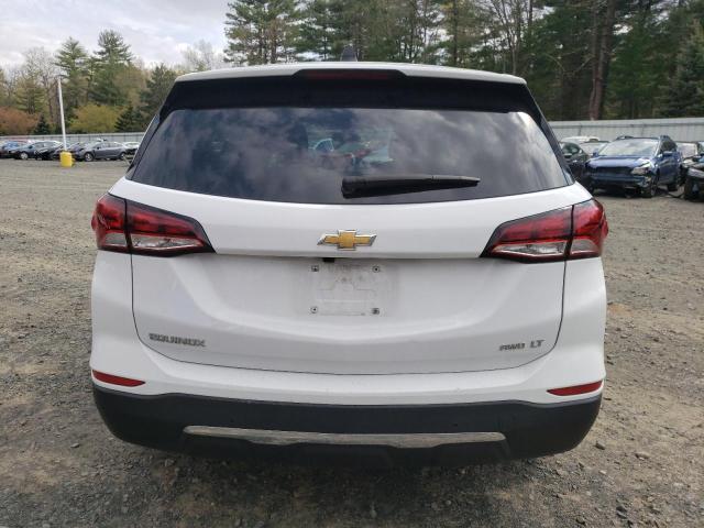 Photo 5 VIN: 3GNAXTEVXNL181065 - CHEVROLET EQUINOX 