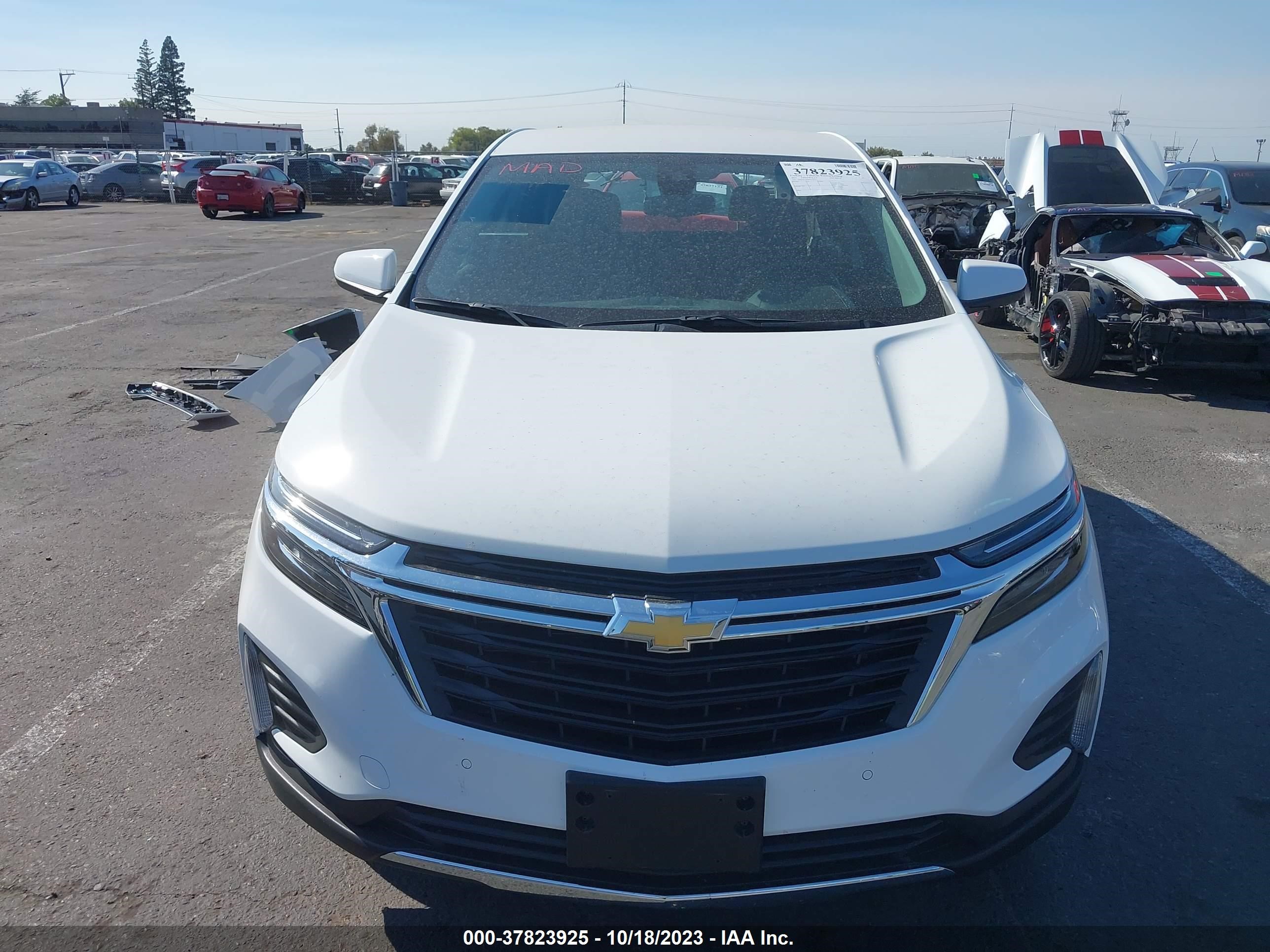 Photo 12 VIN: 3GNAXUEG0PS157552 - CHEVROLET EQUINOX 