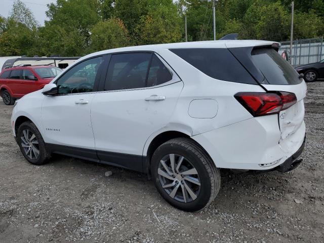 Photo 1 VIN: 3GNAXUEG5RL242268 - CHEVROLET EQUINOX LT 