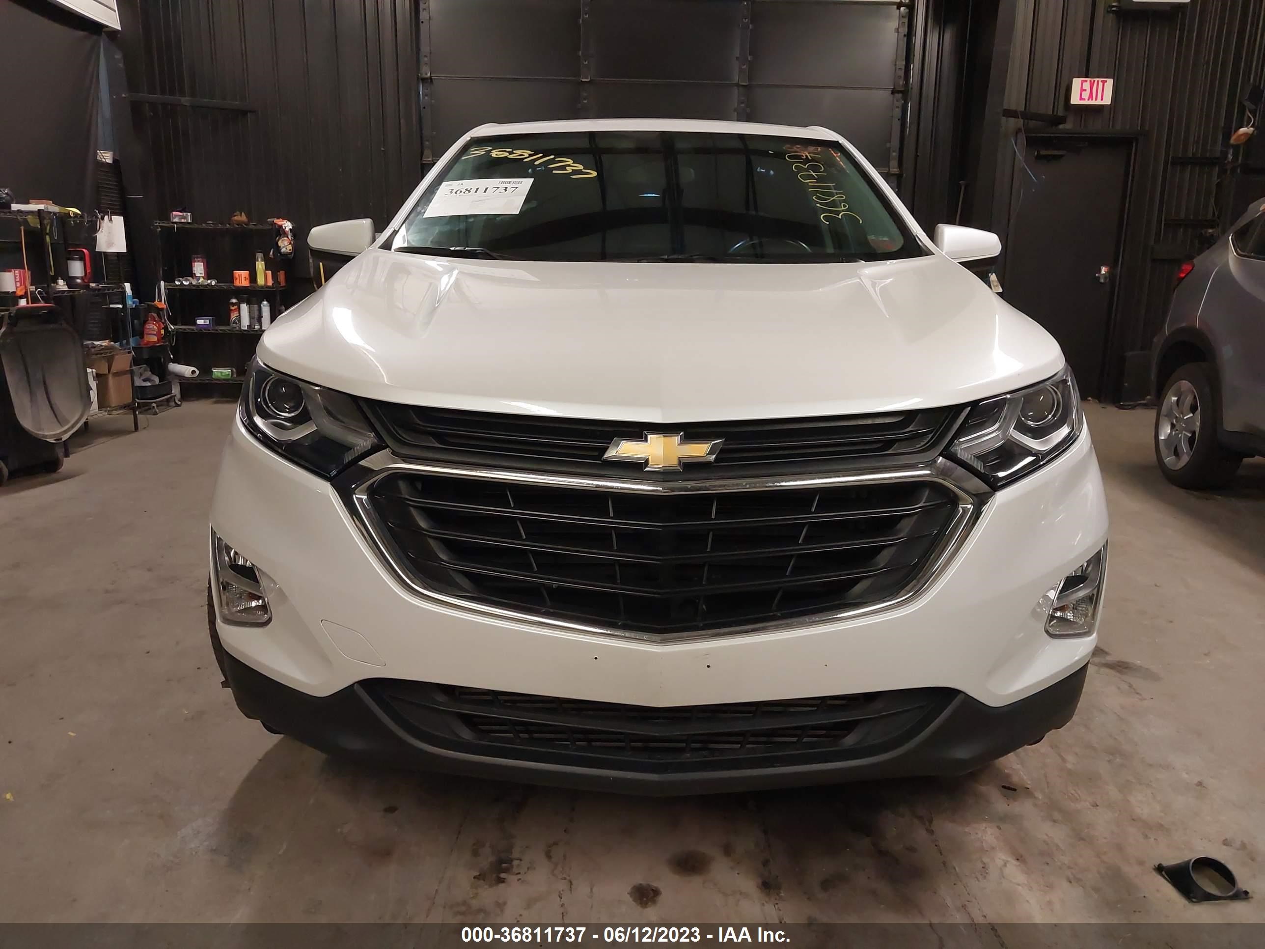 Photo 11 VIN: 3GNAXUEV1MS142150 - CHEVROLET EQUINOX 