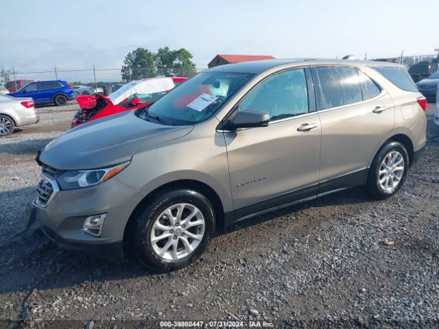 Photo 1 VIN: 3GNAXUEV5KS558134 - CHEVROLET EQUINOX 