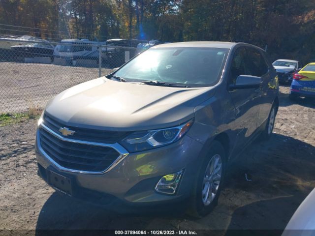 Photo 1 VIN: 3GNAXUEV6KS556425 - CHEVROLET EQUINOX 