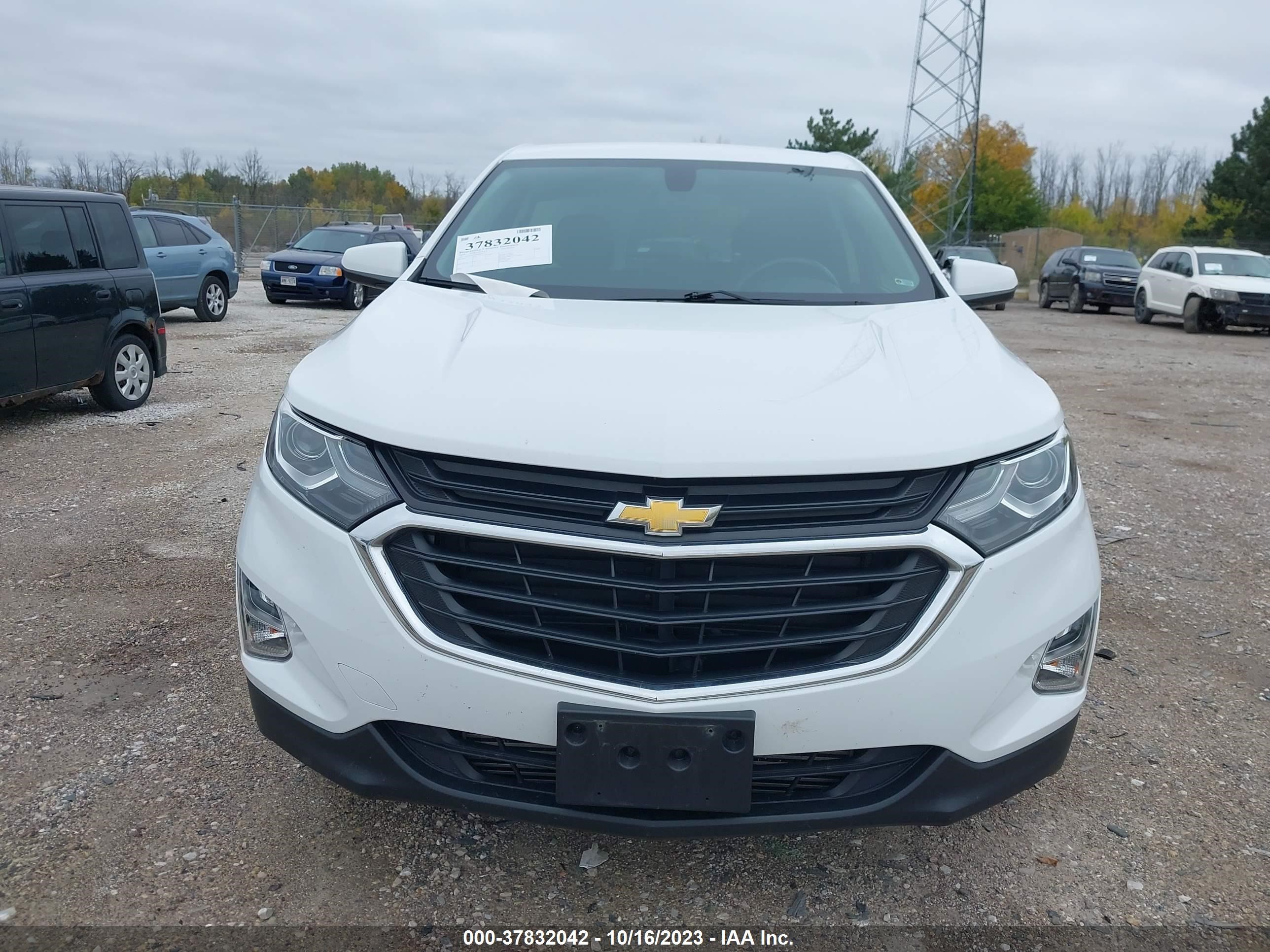 Photo 12 VIN: 3GNAXUEV9KS669317 - CHEVROLET EQUINOX 