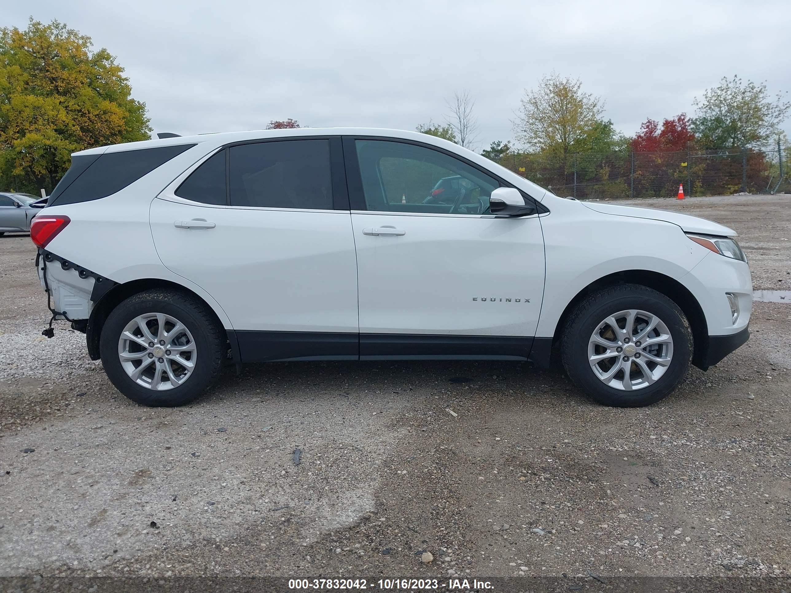 Photo 13 VIN: 3GNAXUEV9KS669317 - CHEVROLET EQUINOX 