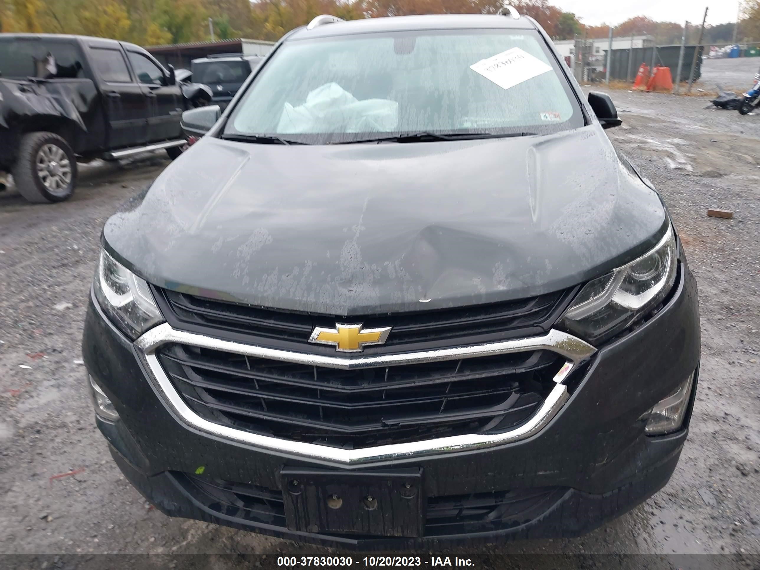 Photo 11 VIN: 3GNAXVEX1KS612875 - CHEVROLET EQUINOX 