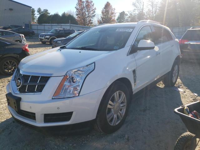 Photo 1 VIN: 3GYFNAE31CS518355 - CADILLAC SRX 