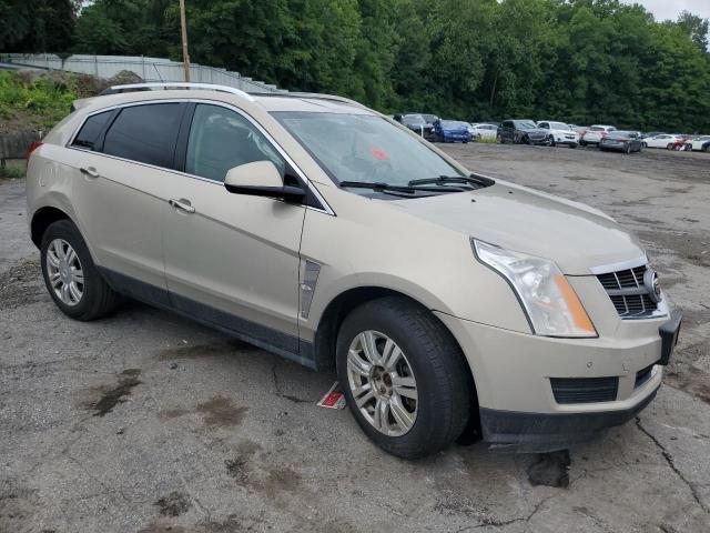 Photo 3 VIN: 3GYFNAE31CS601140 - CADILLAC SRX LUXURY 