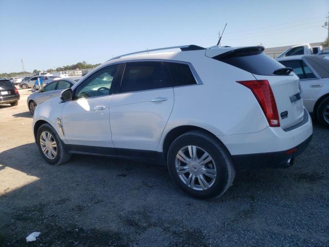 Photo 1 VIN: 3GYFNAE32CS524682 - CADILLAC SRX 