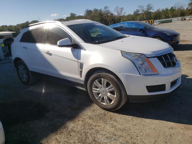 Photo 3 VIN: 3GYFNAE32CS524682 - CADILLAC SRX 