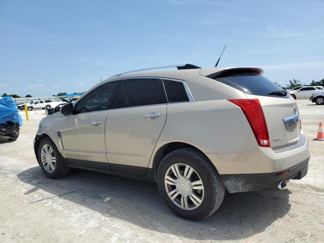 Photo 1 VIN: 3GYFNAE32CS629030 - CADILLAC SRX 