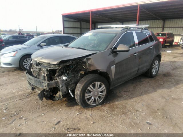 Photo 1 VIN: 3GYFNAE32ES683687 - CADILLAC SRX 