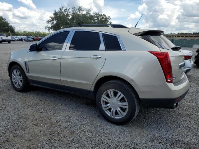 Photo 1 VIN: 3GYFNAE33DS557191 - CADILLAC SRX 