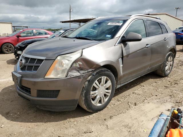 Photo 0 VIN: 3GYFNAE34CS577920 - CADILLAC SRX 