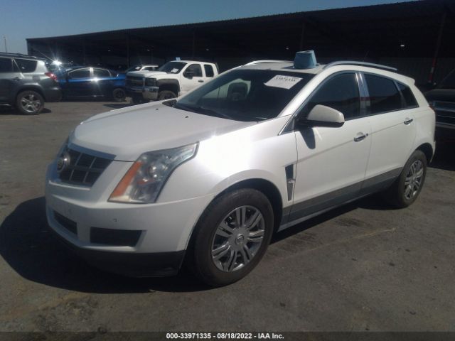 Photo 5 VIN: 3GYFNAE34CS632611 - CADILLAC SRX 