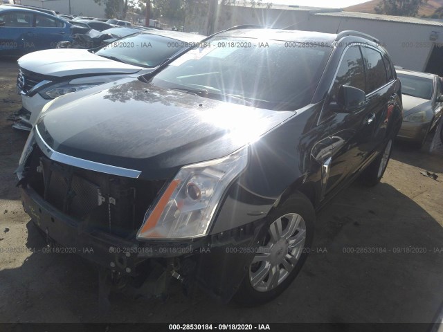 Photo 1 VIN: 3GYFNAE34DS624459 - CADILLAC SRX 