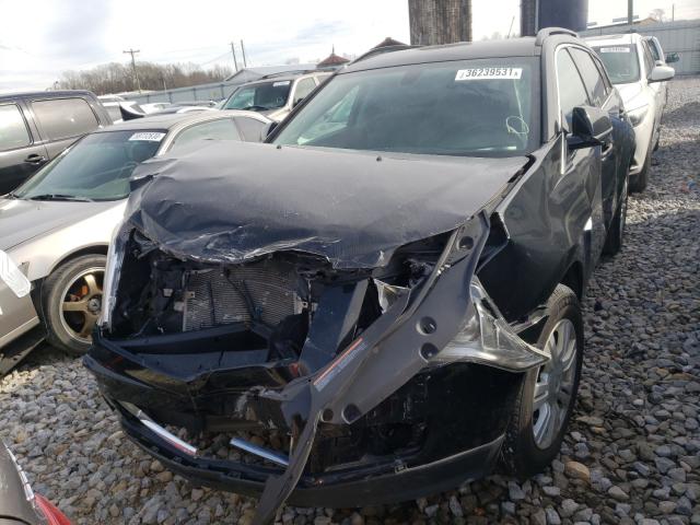 Photo 1 VIN: 3GYFNAE34GS587692 - CADILLAC SRX 