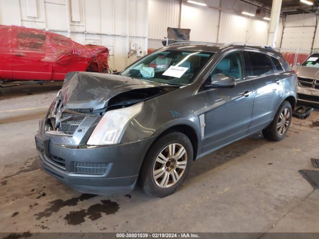 Photo 1 VIN: 3GYFNAE35CS586819 - CADILLAC SRX 