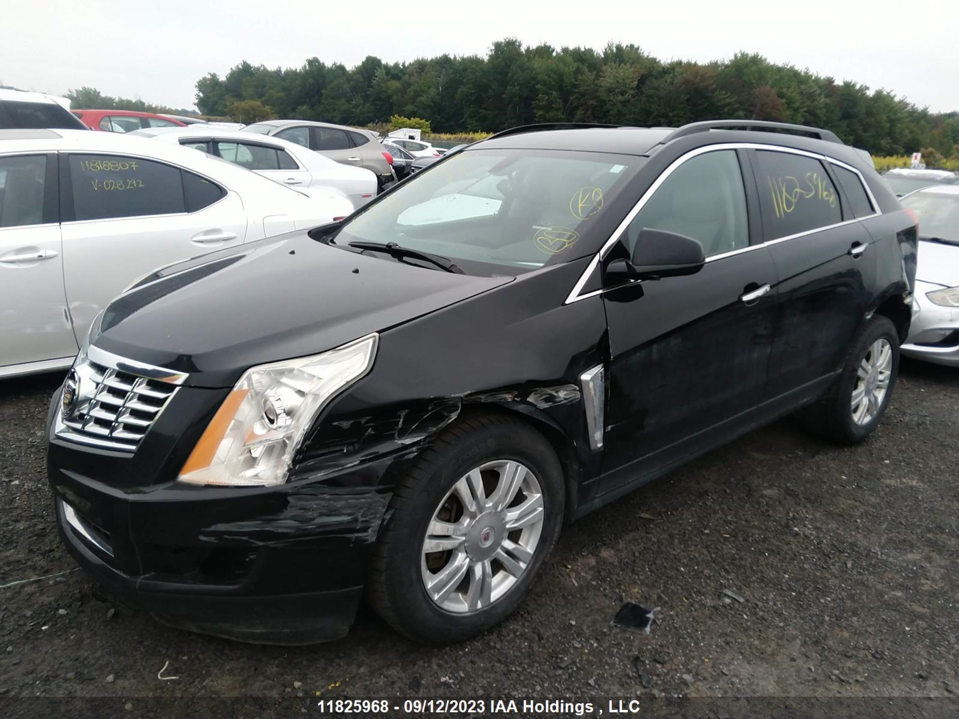 Photo 1 VIN: 3GYFNAE35ES612189 - CADILLAC SRX 