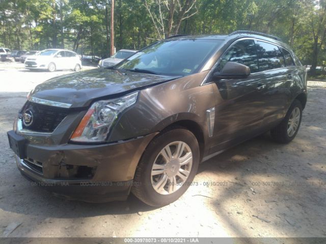 Photo 1 VIN: 3GYFNAE35GS511866 - CADILLAC SRX 