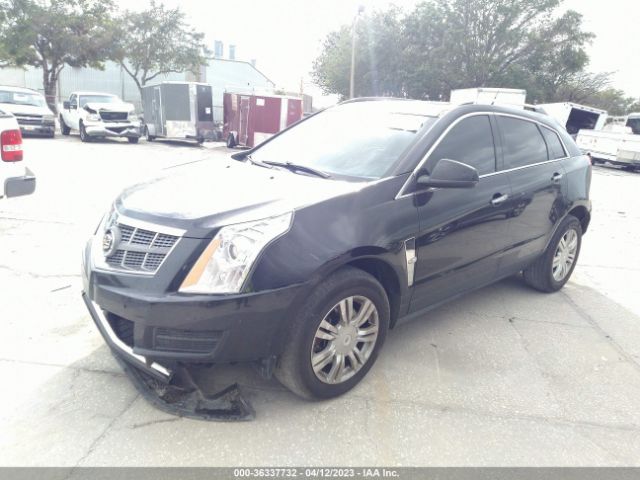 Photo 1 VIN: 3GYFNAE36CS503687 - CADILLAC SRX 