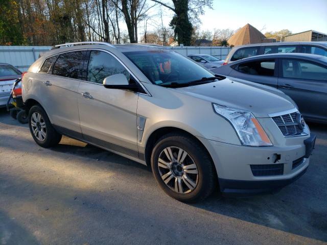 Photo 3 VIN: 3GYFNAE36CS512440 - CADILLAC SRX 