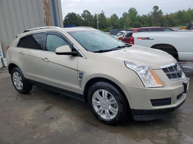 Photo 3 VIN: 3GYFNAE36CS563419 - CADILLAC SRX LUXURY 