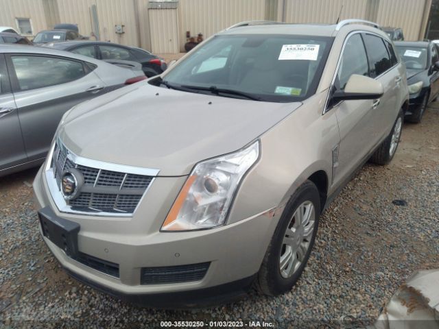 Photo 1 VIN: 3GYFNAE36CS570449 - CADILLAC SRX 