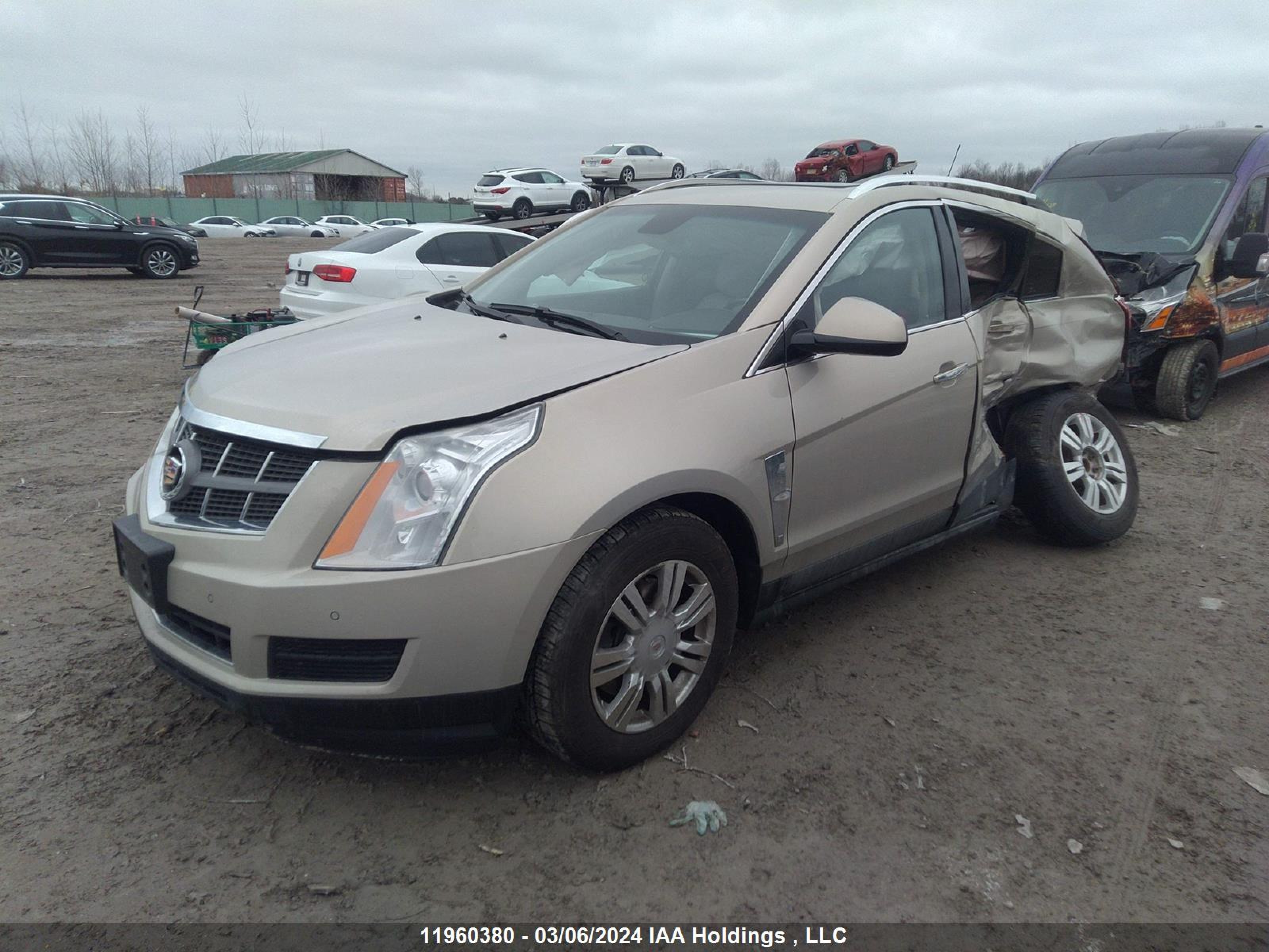 Photo 1 VIN: 3GYFNAE36CS618953 - CADILLAC SRX 