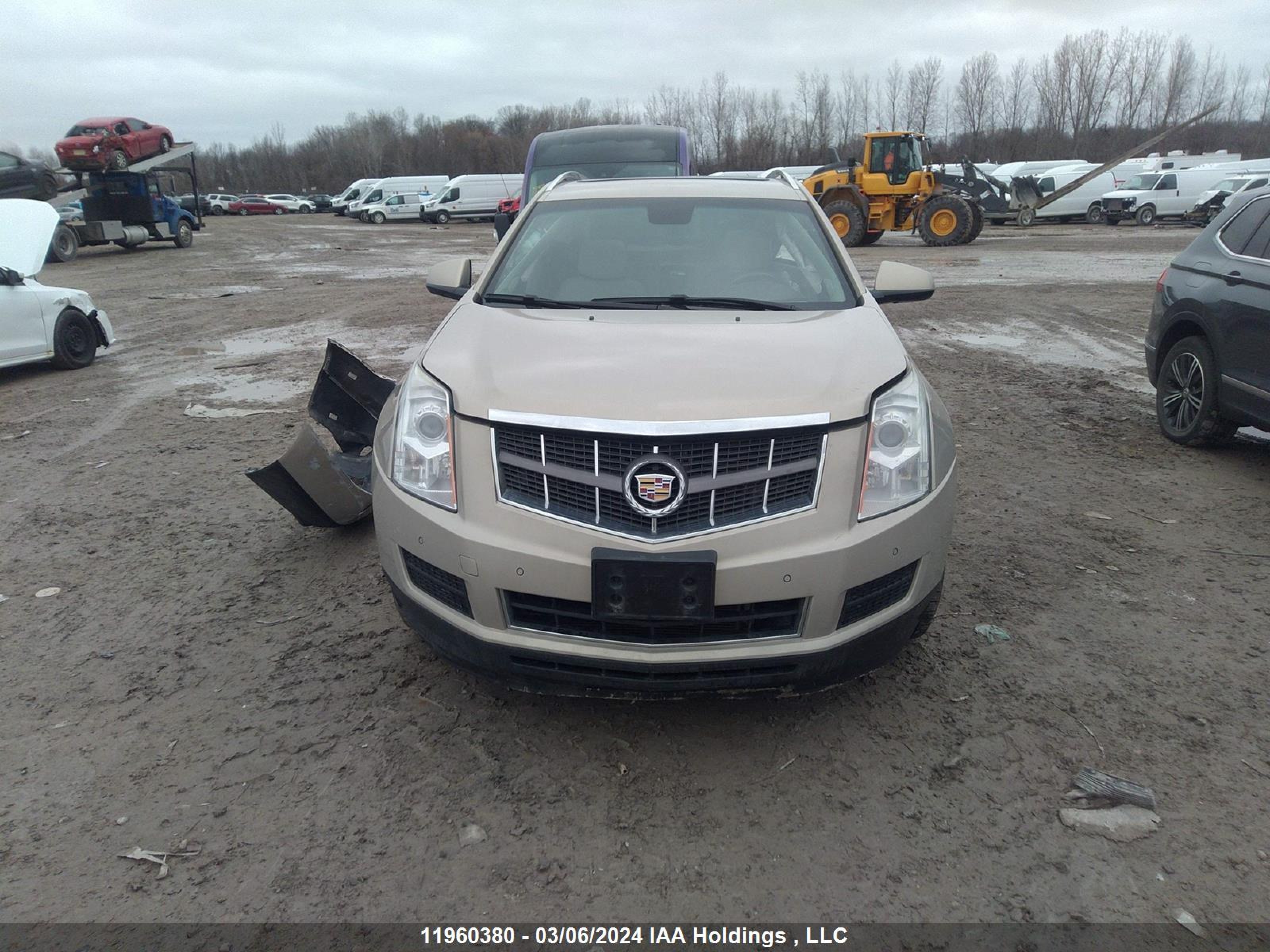 Photo 12 VIN: 3GYFNAE36CS618953 - CADILLAC SRX 