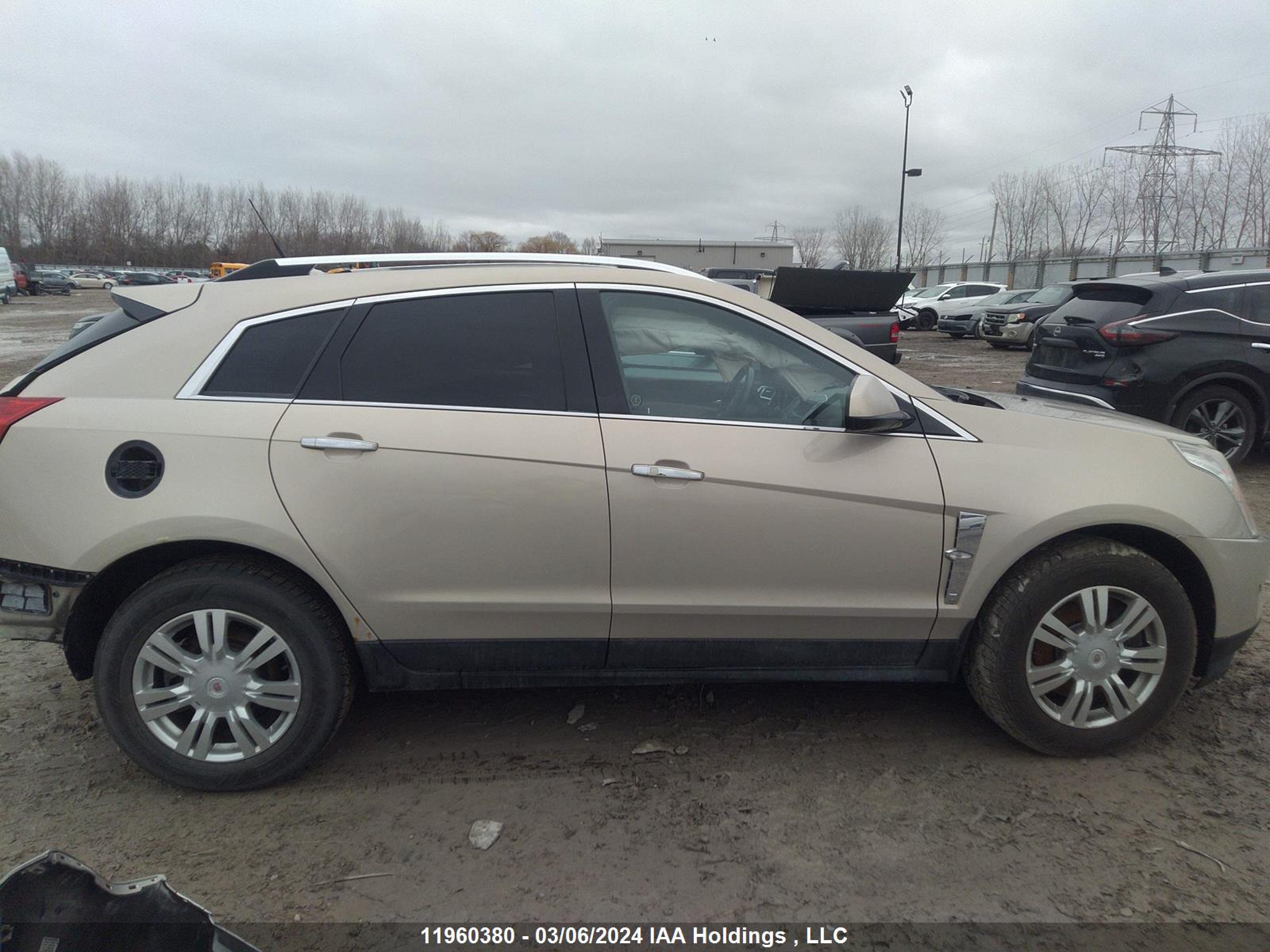 Photo 13 VIN: 3GYFNAE36CS618953 - CADILLAC SRX 