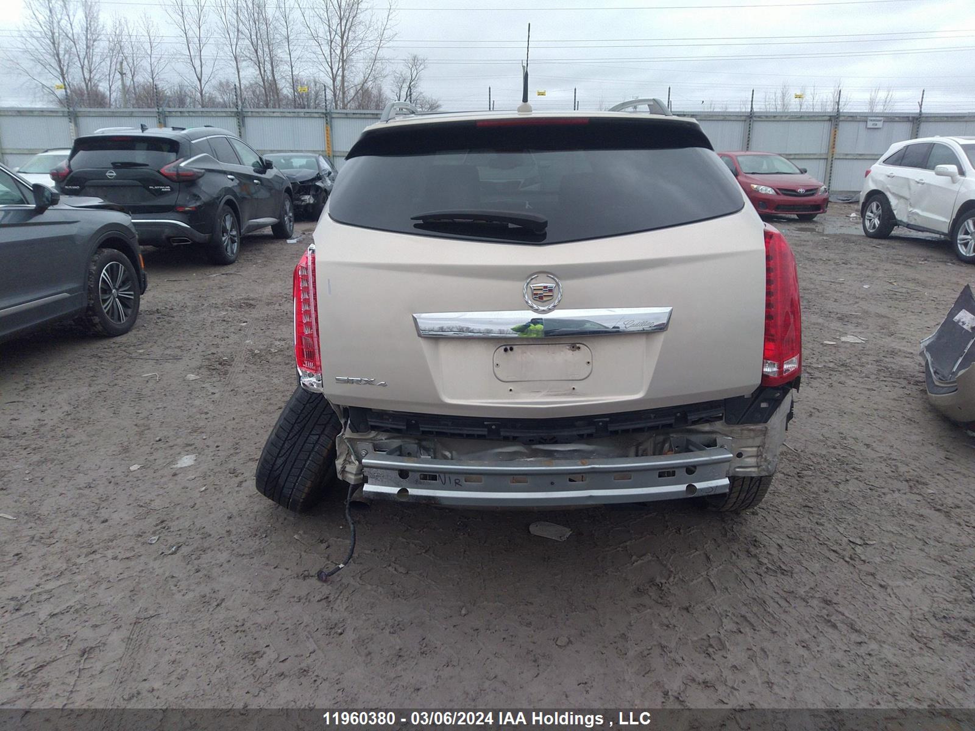 Photo 16 VIN: 3GYFNAE36CS618953 - CADILLAC SRX 