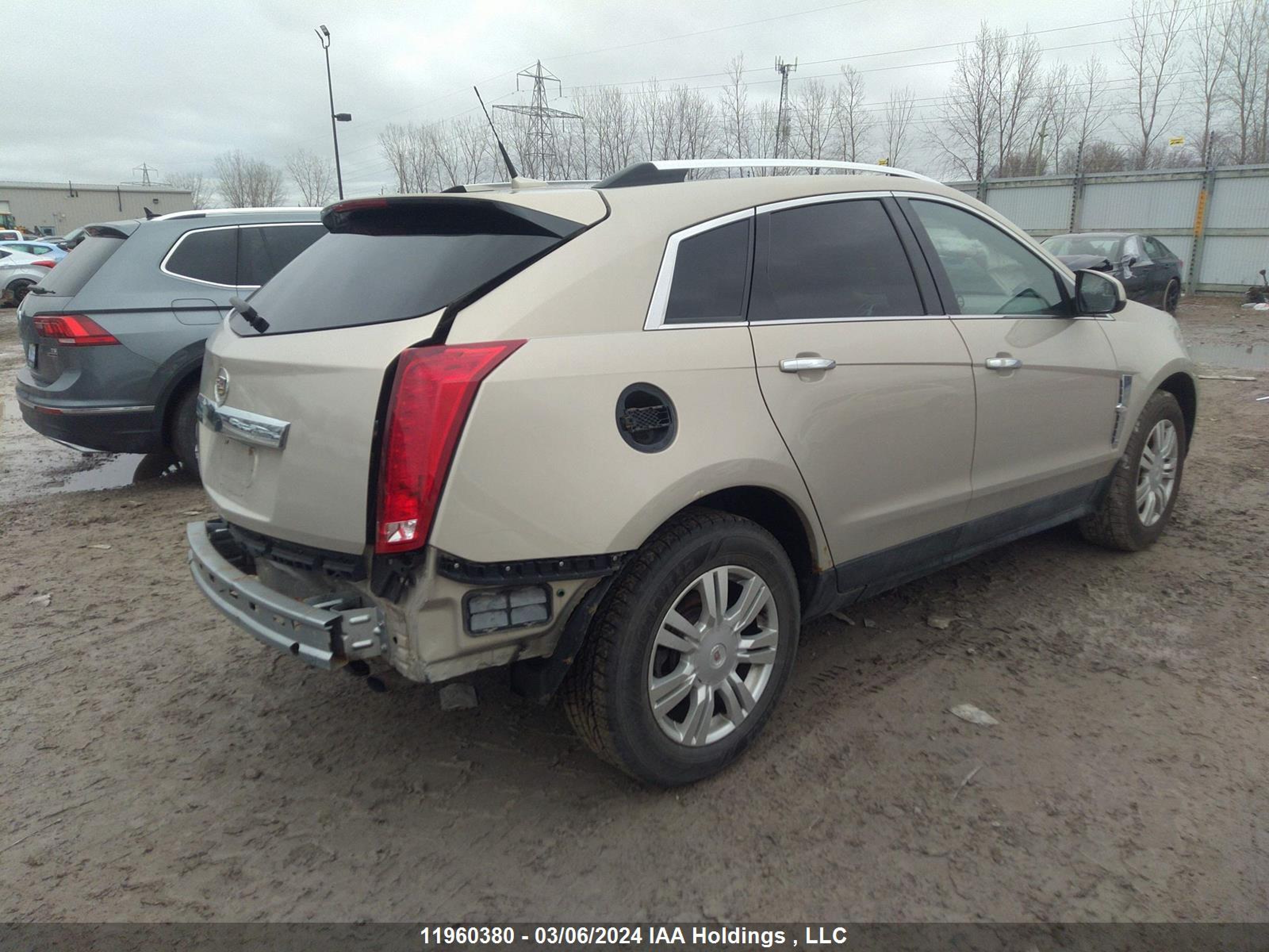 Photo 3 VIN: 3GYFNAE36CS618953 - CADILLAC SRX 