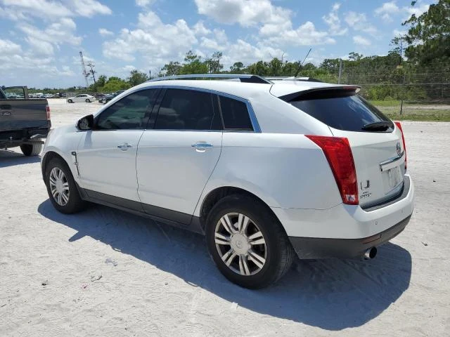 Photo 1 VIN: 3GYFNAE36CS646199 - CADILLAC SRX LUXURY 