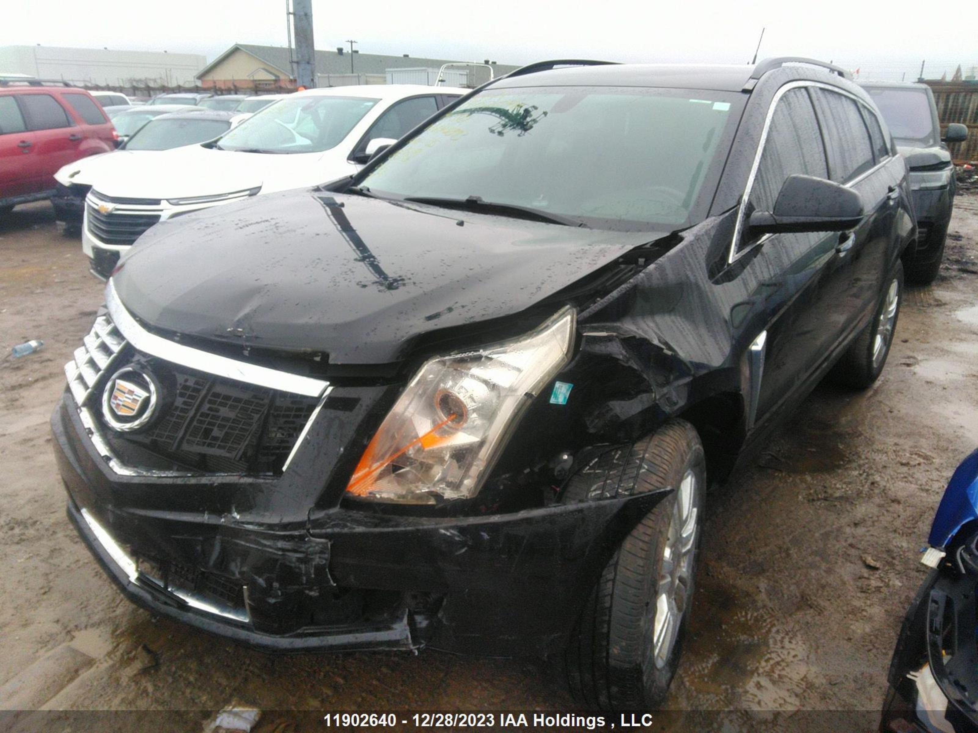 Photo 1 VIN: 3GYFNAE36ES648893 - CADILLAC SRX 