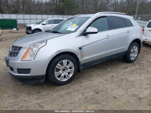 Photo 1 VIN: 3GYFNAE38CS502895 - CADILLAC SRX 