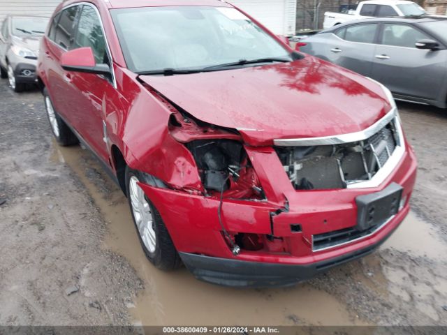 Photo 5 VIN: 3GYFNAE38CS650822 - CADILLAC SRX 