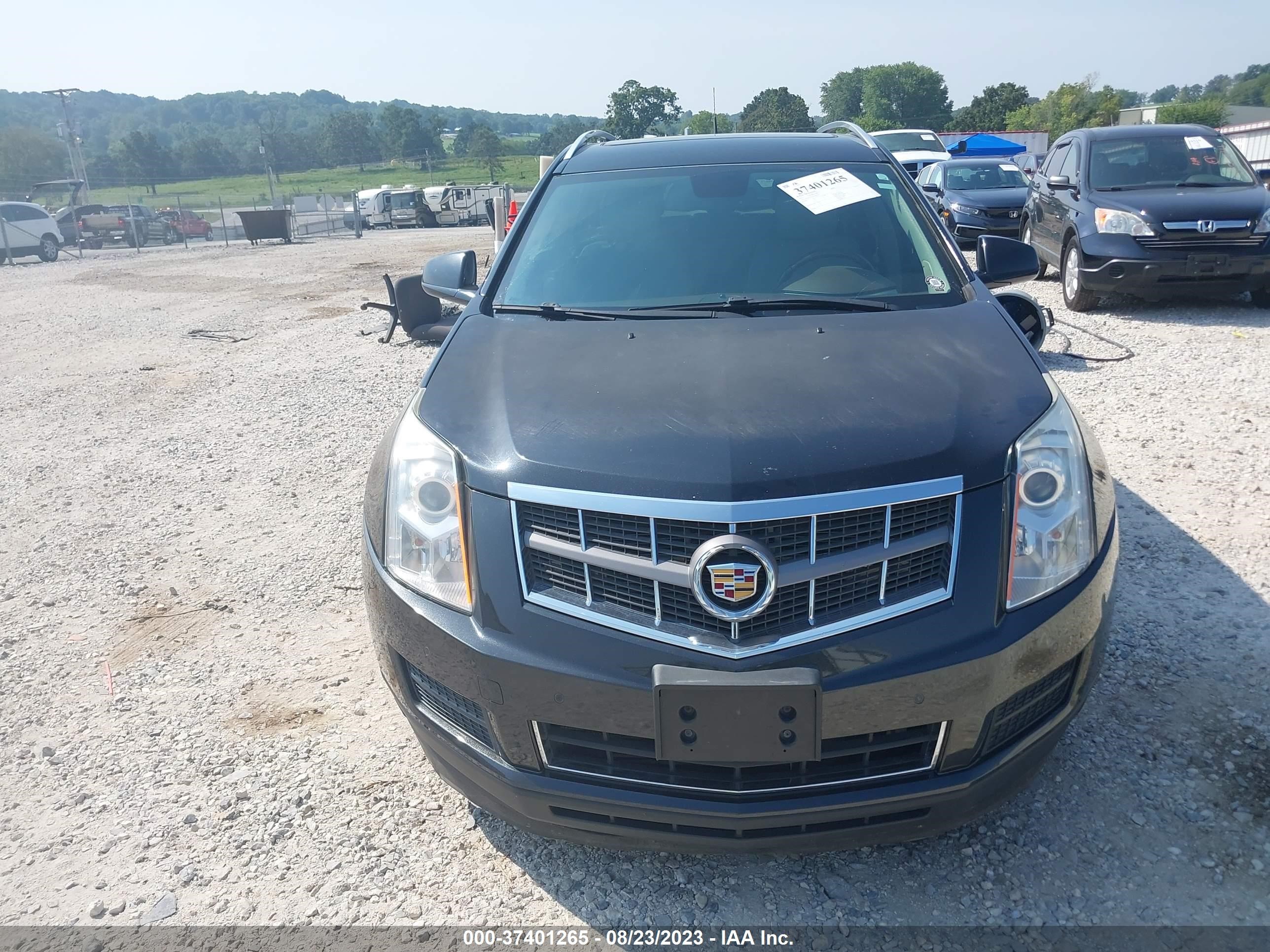 Photo 11 VIN: 3GYFNAE39CS502257 - CADILLAC SRX 