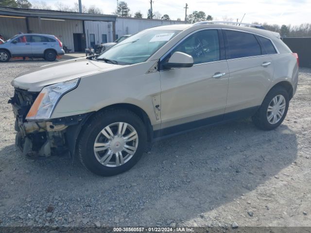 Photo 1 VIN: 3GYFNAE39CS532455 - CADILLAC SRX 