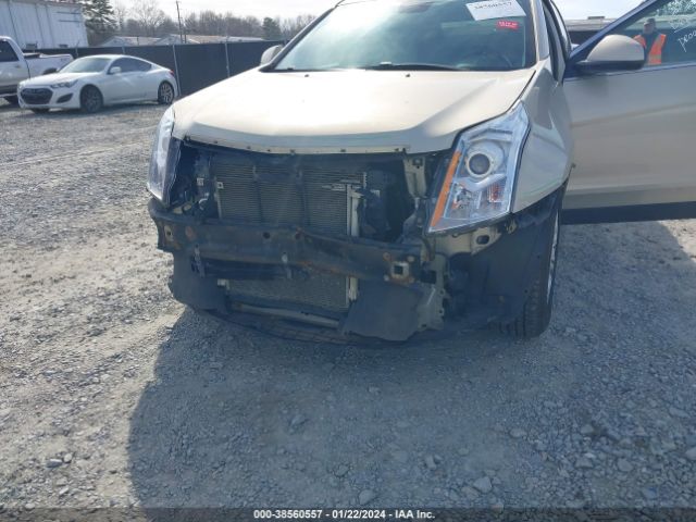 Photo 5 VIN: 3GYFNAE39CS532455 - CADILLAC SRX 