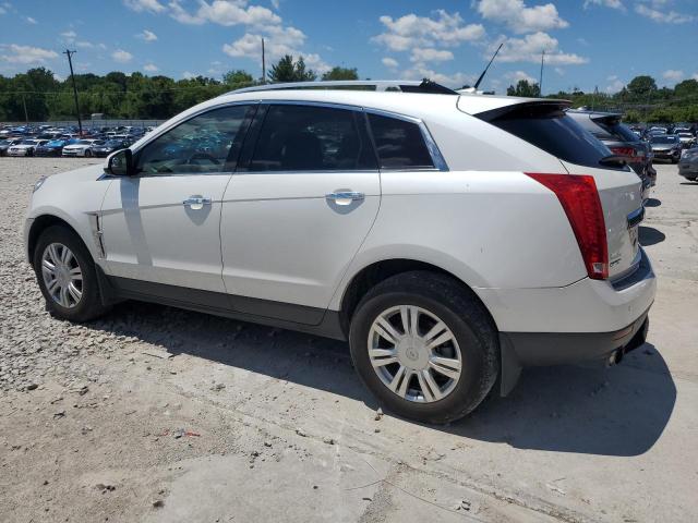 Photo 1 VIN: 3GYFNAE3XCS526728 - CADILLAC SRX 