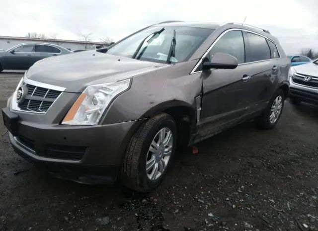 Photo 1 VIN: 3GYFNAE3XCS556439 - CADILLAC SRX 